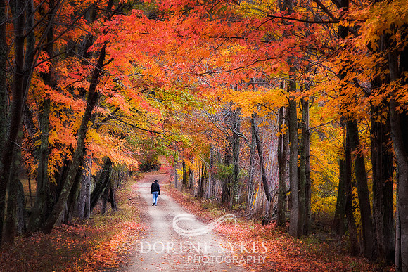 Autumn Walk