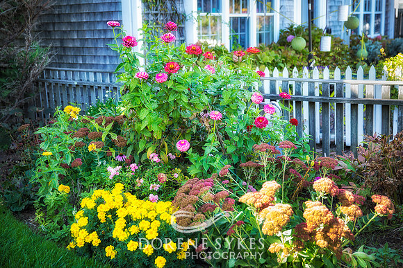 Cottage Garden