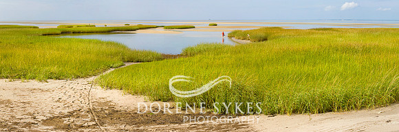 Exploring Paine's Creek
