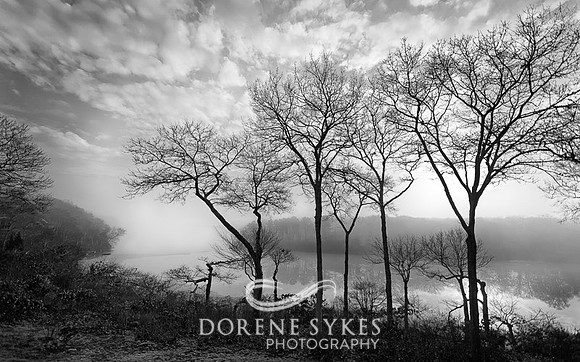 Afternoon Fog