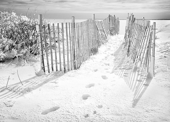 Snowswept Fence