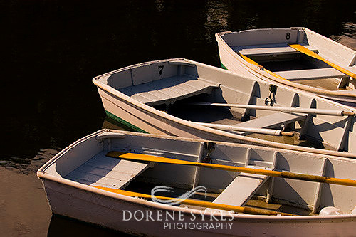 Dinghy Trio