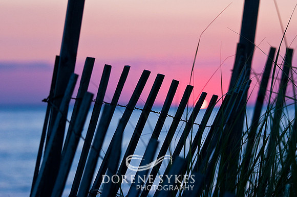 Fence at Sunset