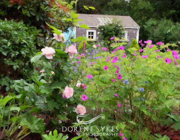 Cape Garden